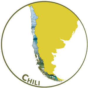 Voyage Chili - Immersion Mapuche et Lickan Antay - Culture Contact