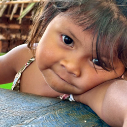 Voyage en Argentine - Mata Atlantica, territoire guarani