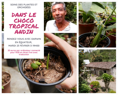 Rencontre virtuelle en Equateur dans les Andes tropicales