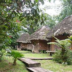 Circuit Andes, Amazonie, Galapagos