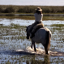 Voyage en Argentine, Esteros del Ibera, l’un des plus vastes réseaux de marécages et d’étangs au monde