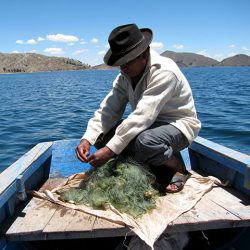 Rencontre virtuelle Culture ContactPêche et Quispinu sur le Lac titicaca